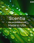 Scentia Hotel Diffuser Oil Inspired by The Nobu Hotel Scent - 500 mL 16.9 fl oz - Essential Oil Blend Jasmine, Lilly, Sandalwood & Fresh Citrus for HVAC Ultrasonic Diffusers - Nobu Essence