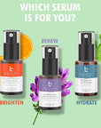 Hyaluronic Acid Serum for Face - USA Made with Natural & Organic Ingredients, Hydrating Anti Aging Face Serum, Softens and Smoothes Dry & Sensitive Skin, Fragrance Free Day & Night Facial Serum