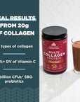 Ancient Nutrition Collagen Peptides Powder, Multi Collagen Protein, Women & Men, Vitamin C, Probiotics, Hydrolyzed Collagen, Supports Skin, Joints, Gut Health, Chocolate, 24 Servings
