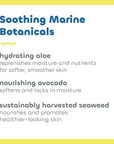 Seaweed Bath Co. Clear Guard SPF 40 Sport Broad Spectrum Sunscreen Spray, 6 Ounce, Sustainably Harvested Seaweed, Aloe, Avocado Oil