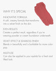 SWEED - Air Blush Cream | High Pigmented, Velvet Finish | Vegan, Cruelty-Free, Clean Beauty (Fancy Face, 1.4 oz | 40 g)