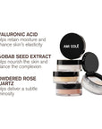 Ami Colé Skin Melt Talc-Free Loose Setting Powder