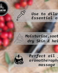 Naturevibe Botanicals Rosehip Oil 32 Ounces | 100% Pure and Natural | Great for Skin Care and Hair Care