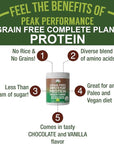 Organic Paleo Grain Free Plant Based Protein Powder. Complete Raw Organic Vegan Protein Powder. Amazing Amino Acid Profile and Less Than 1g of Sugar. Hemp Protein Pea Protein Powder Chocolate Flavored