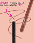 wet n wild Lip Liner Pencil Color Icon Lip Color Makeup, Dark Brown Chestnut (Pack of 2)