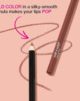 Lip Liner Pencil By Wet n Wild Color Icon Lip Color Makeup, Brandy Wine