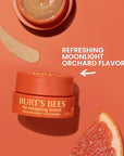 Burt’s Bees Stocking Stuffers, Moonlight Orchard Lip Sleeping Mask, With Hyaluronic Acid and Squalane Moisturizer To Instantly Hydrate Lips, Overnight Lip Mask, Lip Treatment Christmas Gifts, 0.45 oz.