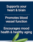 Life Extension Super Omega-3 EPA/DHA Fish Oil, Sesame Lignans & Olive Extract – Heart Health, Brain Health, Inflammation Health Support, Gluten-Free, Enteric-Coated, Non-GMO, 120 Softgels