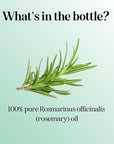 Pure Rosemary Oil for Hair Skin and Nails - 100% Pure Undiluted Rosemary Essential Oil with Dropper for Topical Uses Aromatherapy Diffusing and Home and Beauty DIYs - Vegan and Cruelty Free (1 Fl Oz)