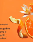 PHLUR - Fine Fragrance - Eau de Parfum - Travel Size (Tangerine Boy)