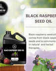 Naturevibe Botanicals Black Raspberry Oil 32 Ounces | 100% Pure and Natural | Great for Skin Care and Hair Care