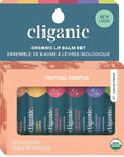 Cliganic Organic Lip Balm Set - 6 Tropical Flavors - 100% Natural Moisturizer for Cracked & Dry Lips