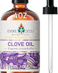 EVOKE OCCU Clove Oil for Teeth and Gums - Oral Care, Toothache Relief & Fresh Breath - DIY Mouthwash - 4 Fl Oz