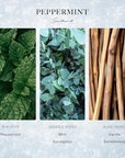 Scentiment - Peppermint Winter Collection Diffuser Oils | Aromatherapy Home Fragrance | Luxurious Scent with Notes of Peppermint, Mint, Vanilla, 500 ml