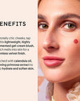 Winky Lux Cheeky Rose Liquid Blush, Gel-Cream Blush with Buildable Color, Lightweight Velvet Finish for Long Lasting Color, Neutral Rose, Queen