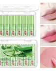 6Pcs Plumping Aloe Vera Lip Oil, Big Brush Lip