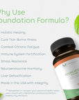 Foundation Formula | Tick Immune Support Supplement | with Japanese Knotweed Root, Cat's Claw, Milk Thistle | Resveratrol Supplement | Non-GMO, All-Natural & Vegetarian, 270 Capsules