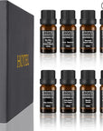 Hotel Collection Diffuser Essential Oil Gift Set,Hotel Scents for Home,Stress Relief Air Freshening,Ritz Carlton,My Way,Westin,Wynn Las Vegas,Baccarat,Four Seasons,Aria,Marriott Beach Villas
