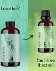 Pure Rosemary Essential Oil Bulk Size - Undiluted Rosemary Oil for Hair Skin and Nails and Refreshing Aromatherapy Oil for Diffusers - Cleansing Essential Oil for Dry Scalp Care 8oz