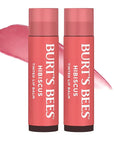 Burt's Bees Lip Tint Balm with Long Lasting 2 in 1 Duo Tinted Balm Formula, Color Infused with Deeply Hydrating Shea Butter for a Natural Looking Buildable Finish, Soft Hibiscus (2-Pack)