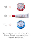 C.O. Bigelow Rose Salve Lip Balm Lips