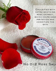 C.O. Bigelow All Purpose Salve Lip