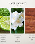 Scentiment Diffuser Oil - Amalfi Coast | Aromatherapy Fragrance | Inspired by W Hotels® | Notes of Bergamot, Lemongrass, Jasmine, Lily, Magnolia & Koa Wood (20 mL)