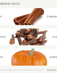 The Magic Scent Pumpkin Spice Aroma Oil - Diffuser Oil Scent - Cold-Air & Ultrasonic Diffuser - Pumpkin Essential Aromatherapy - 8.5 fl oz, 250 mL