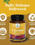 L Lysine 1000mg per serving Nutritional Supplements - L-lysine Essential Amino Acids for Eye Health Lip Care Bone Support Immune System Support Muscle Growth and Vegetarian Collagen - 240 Tablets