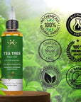 Tea Tree Oil for Hair 4.05 fl oz | With Jojoba & Grapeseed Oils | Soothes Itchy Scalp & Fights Dandruff | Moisturize Skin Strengthen Hair | Ideal for Both Men and Women | 4.05 fl oz