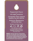 Burt's Bees Overnight Intensive Lip Treatment,