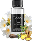 Waterless Diffuser Oil Olene, Essential Scent Oil Usage Cold Air Waterless Diffuser, Luxury Scents Oils Fragrance Bottle120 ML Home Natural Flavour