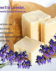 Vintage Tradition Beef Tallow All Purpose Balm - Healing, Hydrating Lavender Oil Skin Care Salve Replaces Body Lotion, Hand Cream, More - Essential Oil, Olive Oil, and Grass-Fed Tallow, 2 fl. oz.