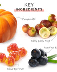 MyChelle Dermaceuticals Pumpkin Renew Cream (1.2 Fl Oz) - Daily Face Moisturizer with Pumpkin Seed Oil, Cloudberry Extract & Antioxidants - Moisturizes, Nourishes & Strengthens Skin