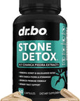 Stone Breaker Chanca Piedra Capsules - Stone Detox for Kidney Cleanse Detox, Gallbladder Formula with Hydrangea Root - Natural Gallstones Kidney Stones Dissolver Gallbladder Flush Pills - 60 Capsules