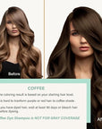 Fvquhvo Hair Dye Shampoo 3 in 1, Hair Color Shampoo for Women Men, Long Lasting Brown Hair Dye, Colors in Minutes, Champu Para Pintar el Cabello, Easy to Use 16.90 Fl Oz