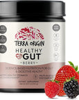 TERRA ORIGIN Healthy Gut Powder (Berry Flavor) |30-Servings with L-Glutamine, Zinc, Glucosamine, Slippery Elm Bark, Marshmallow Root and More!