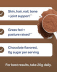 Vital Proteins Collagen Peptides Powder - Chocolate Powder for Hair, Nail, Skin, Bone & Joint Health, 13.5oz