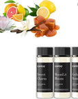 Love Collection Fragrance Oil Set – Essential Oil Blends for Diffusers, Candles & Soaps – Jasmine, Rose, Citrus, Amber & Musk – Made in USA, Phthalate-Free – Holiday Gift Set 3×20ml (2.03 fl oz)