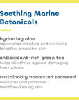 Seaweed Bath Co. Sheer Protect Daily SPF 30 Broad Spectrum Hybrid Sunscreen Cream, 3.4 Ounce, Sustainably Harvested Seaweed, Aloe, Green Tea