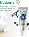 ATTITUDE Toothpaste with Fluoride, Prevents Tooth Decay and Cavities, Vegan, Cruelty-Free and Sugar-Free, Blueberry, 4.2 Oz