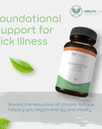 Foundation Formula | Tick Immune Support Supplement | with Japanese Knotweed Root, Cat's Claw, Milk Thistle | Resveratrol Supplement | Non-GMO, All-Natural & Vegetarian, 270 Capsules