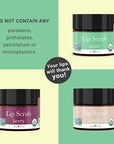 Organic Lip Scrub Mint - USA