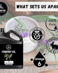 Naturevibe Botanicals Comfrey Oil 32 Ounces | 100% Pure and Natural | Great for Skin Care and Hair Care