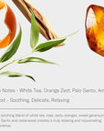 AromaTech White Tea Aroma Essential Oil Blend: Luxury Hotel Inspired Aromatherapy with White Tea, Orange & Palo Santo for Ultrasonic Diffusers & Nebulizers - 4 fl oz, 120 mL