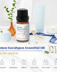 HIQILI Lemon Eucalyptus Oil, for Spary, Diffuser, Indoors, Outdoors, Garden, Yard, 100% Pure Natural - 0.33 Fl Oz