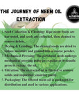 Naturevibe Botanicals Neem Oil 32 Ounces | 100% Pure and Natural | Great for Skin Care and Hair Care