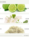 The Magic Scent Baccara Diffuser Oil - Hotel & Home Luxury Scents Inspired by Baccarat Rouge - Diffuser Oil Scents for Home Designed for Use in All Diffusers - 16.9 fl oz, 500 mL