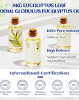 HIQILI 100ML Eucalyptus Essential Oil for Spray, Diffuser & Skin, 100% Pure Undiluted - 3.38 Fl Oz