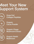 Wellthy Collagen Superfood Powder, Fights Stress & Fatigue, Cacao, Mushroom Powder - Organic Chaga & Reishi Extracts, Certified Organic Matcha, Allergen-Free & Non-GMO